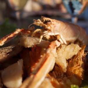 Kiwi+Peach: Cinque Terre Food Guide