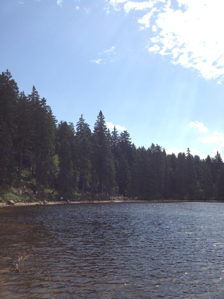 kiwi+peach | mummelsee in the black forest