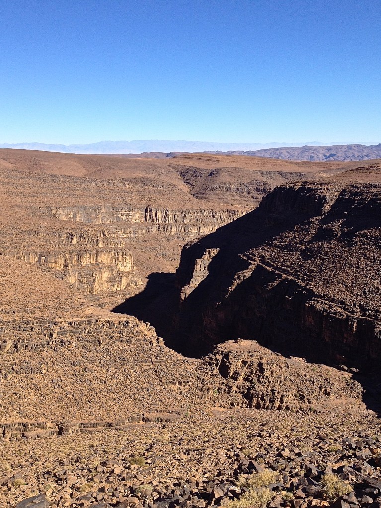 Kiwi and Peach {wanderlust: sahara desert}