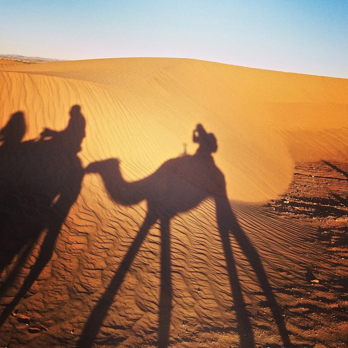 Kiwi and Peach {wanderlust: sahara desert}