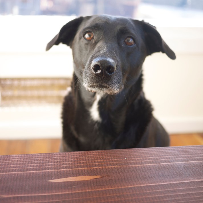 Food News from Kiwi and Peach