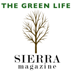 Kiwi and Peach on The Green Life