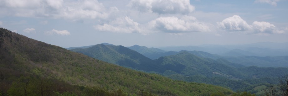 First Comes Love from Kiwi and Peach