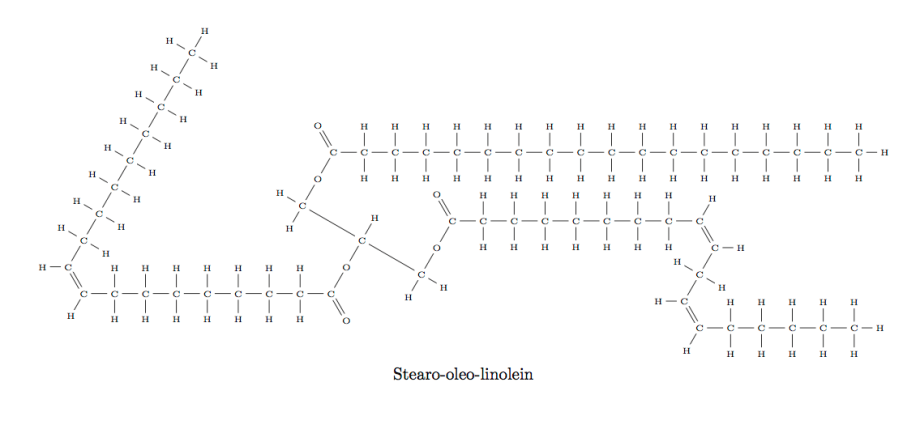 Stearo-oleo-linolein